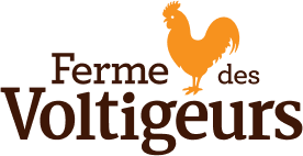 voltigeurs